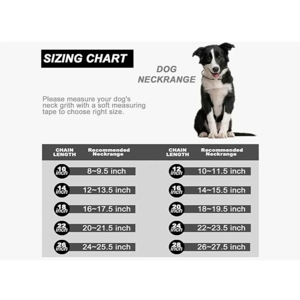 Dog Collar with Zirconia Locking Hand Polished Stainless Steel Metal - 19MM, 12